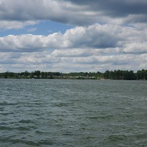 Meet your Posher, Elisha